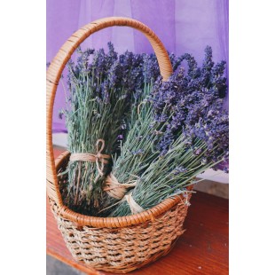 Excellence C-4 Curved Glass Canopy For HB/HL-6 (installation Required) Excellence C-4 Curved Glass Canopy For HB/HL-6 (installation Required)