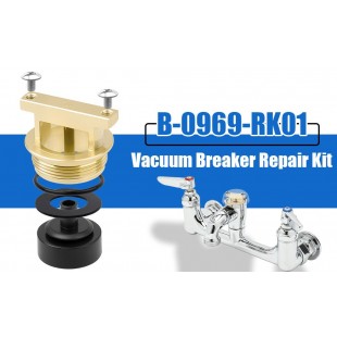 T&S Brass 0969RK01 Repair Kit Vb Tsb