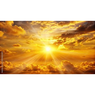 Mundial W5520-10 10 Inch Blade Length High Carbon Knife Antimicrobial Handle