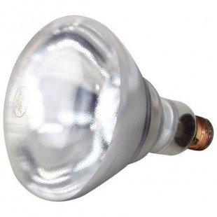 Private Label 381136 Infra Red Lamp (pk 12) (clear) 120v 250w