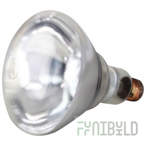 Private Label 381136 Infra Red Lamp (pk 12) (clear) 120v 250w