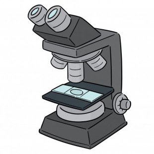 1880 Hospitality 53543-048 11.25 Oz Stack Bowl Glass - 48 Packs