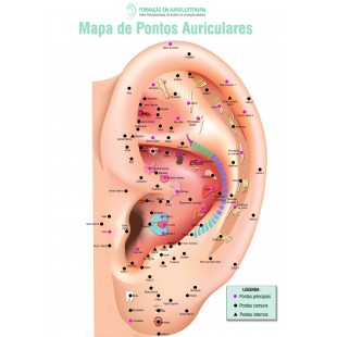 Lainox RL071 Roller Feet For 071 + 071 Stacking Kit Lainox RL071 Roller Feet For 071 + 071 Stacking Kit