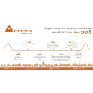 Fortessa 8700.MANETTE.06 12 Inch Charger Dishwasher Safe Ceramic White Fortessa 8700.MANETTE.06 12 Inch Charger Dishwasher Safe Ceramic White