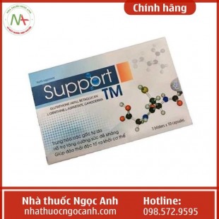 Support TM-12.09.000