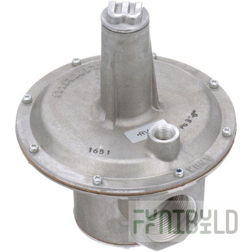 Private Label 521044 Pressure Regulator 1 1/2