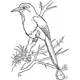 Garland C0836-18A_LP 18 Inch Gas Heavy Duty Range with Charbroiler 54000 BTU Garland C0836-18A_LP 18 Inch Gas Heavy Duty Range with Charbroiler 54000 BTU