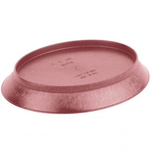 HS Inc HS1057SB-RB 11 Inch Oval Deli Server Microwavable and Dishwasher Safe Polypropylene Raspberry