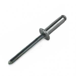 Rivet 3.2x6 in