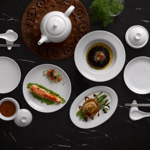 Luzerne by 1880 Hospitality China Dinnerware Luzerne by 1880 Hospitality China Dinnerware