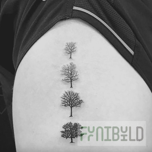 Town 42615 5-1/2 Inch Diameter Noodle Skimmer with Bamboo Handle Stainless Steel