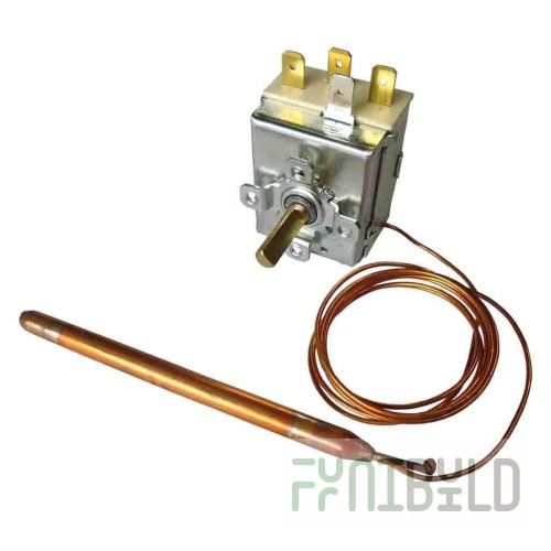Thermostat for a boiler