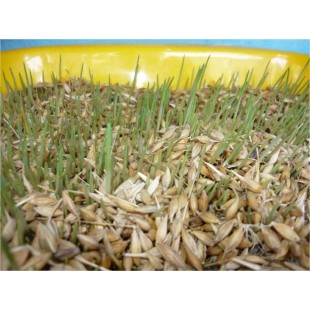 Forbes Industries 1570-RCK Carpet Kit Replacement for Forbes 1570-CK Forbes Industries 1570-RCK Carpet Kit Replacement for Forbes 1570-CK