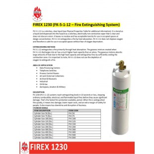 Firex CABE0010 1/1 GN Pullout Container for UCBT030 with Stainless Steel Finish