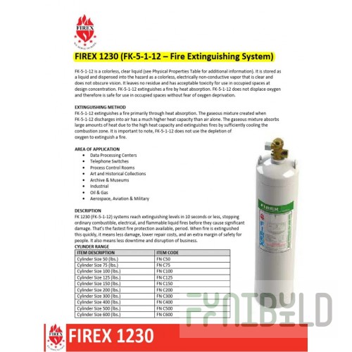 Firex CABE0010 1/1 GN Pullout Container for UCBT030 with Stainless Steel Finish