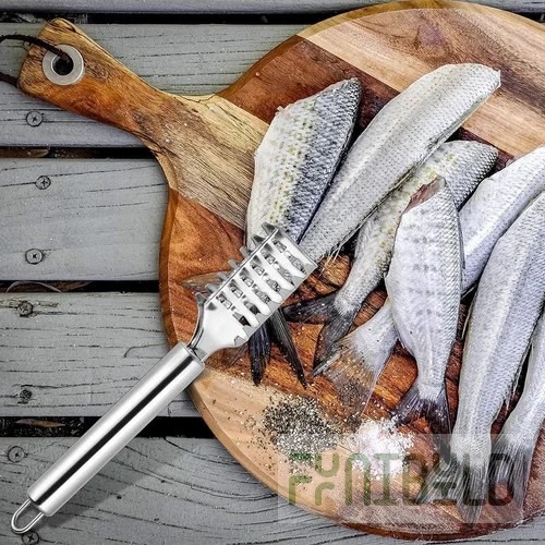 Omcan 14236 Manual Fish Scaler Heavy Duty Stainless Steel Orange Handle
