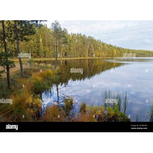 Titan Stainless 7CT-25 84 Inch All Sides Turn Down Countertop Stainless Steel