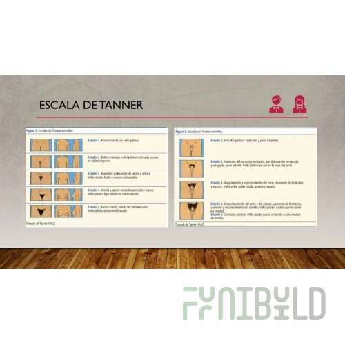 Fetco CBS-2141XTS (E214171M)-2 11 Inch Automatic Fill Coffee Brewer Stainless Steel with Touchscreen