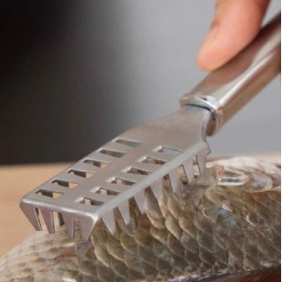 Alfa 25BB4 1 Inch Manual Fish Scaler Stainless Steel Assembly - Std Duty