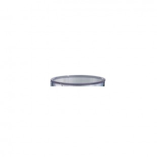 Service Ideas SI2LITCNL 5-1/2 Inch 67.6 Oz Sculptured Ice Pitcher Clear Plastic