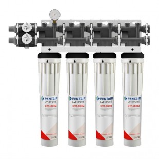 Everpure CTO-QCR2 Cartridge 10,000 Gallons Reduces Chloramine and Chlorine