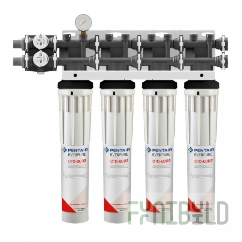 Everpure CTO-QCR2 Cartridge 10,000 Gallons Reduces Chloramine and Chlorine