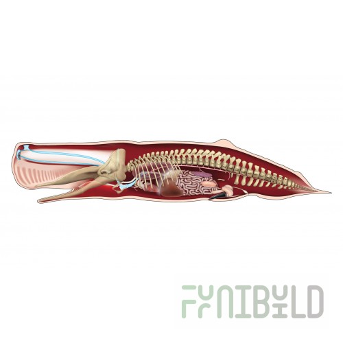 GET Enterprises T0B007-1 15 Inch Stainless Steel Tile with Corrosion Resistance