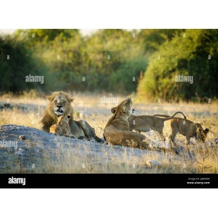 BK Resources UB4-24-FDM30 30 Inch Underbar Frozen Drink Machine Stand Stainless Steel Open Base BK Resources UB4-24-FDM30 30 Inch Underbar Frozen Drink Machine Stand Stainless Steel Open Base