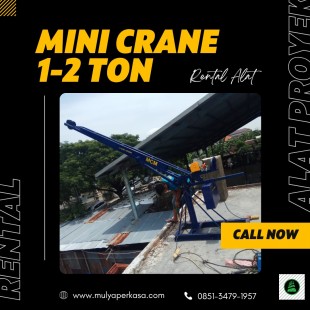 Crane ball. ang. mini 1/2