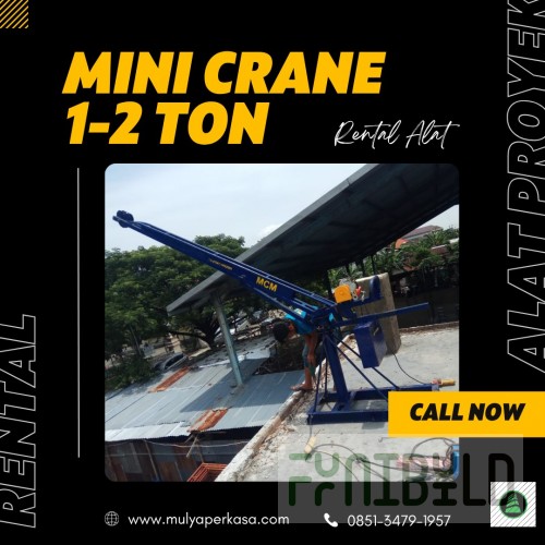 Crane ball. ang. mini 1/2