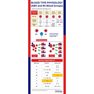 Alto-Shaam PE-38808 Signage Panel Pop Display for HSM-24 with customizable design Alto-Shaam PE-38808 Signage Panel Pop Display for HSM-24 with customizable design