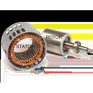 Stator and rotor for the whipping machine B15