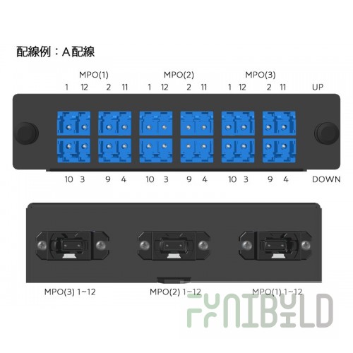 Case (included) (MPO-1) MPO-1.20.00.00