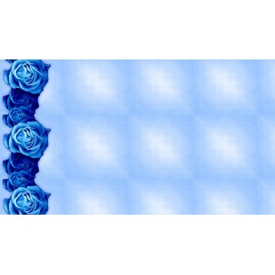 Optional 0.5mm Stainless Steel Perforated Basket for C80, Robot Coupe 57009