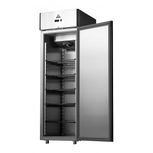Low temperature cabinet F0.5-G (710x680x2200 in, 500 l, up to -18 °C) stainless steel