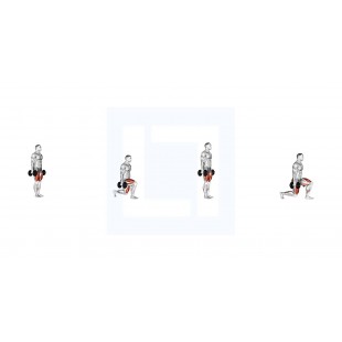 Alfa HOL076 2 Inch Paper Release Spring for Hollymatic Patty Makers Replaces OEM 2076 Alfa HOL076 2 Inch Paper Release Spring for Hollymatic Patty Makers Replaces OEM 2076