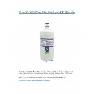 AllPoints 5613303 5 Inch Cartridge Cuno HF-40 0.2 Micron Chlorine Taste Odor Filter
