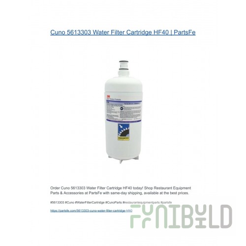 AllPoints 5613303 5 Inch Cartridge Cuno HF-40 0.2 Micron Chlorine Taste Odor Filter