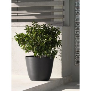 Wood Stone 6-SWRAP-SS Stand Cover Set Stainless Steel with Durability