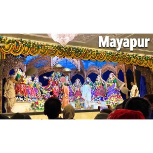 Southbend PC-3 Pan Carrier Southbend PC-3 Pan Carrier