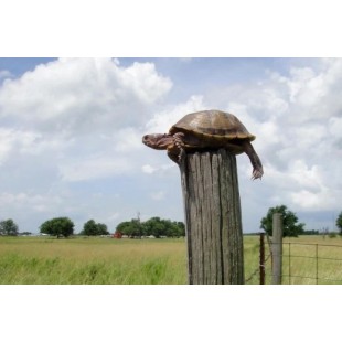AERO Manufacturing S-74 Drink Bubbler Hand Sink Parts and Accessories