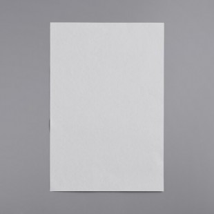 Dean 8030284 Filter Paper Thick 16-3/8 Dean 8030284 Filter Paper Thick 16-3/8