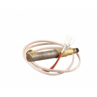 Wells 2T-42195 Width 4.6 Inch Gas Thermopile OEM Corrosion Resistant with Precise Detection Wells 2T-42195 Width 4.6 Inch Gas Thermopile OEM Corrosion Resistant with Precise Detection