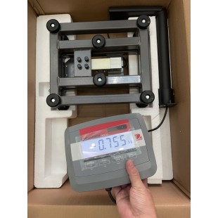 Penn Scale D31P15BR 12 Inch Rectangular Digital Scale with Backlit LCD Penn Scale D31P15BR 12 Inch Rectangular Digital Scale with Backlit LCD