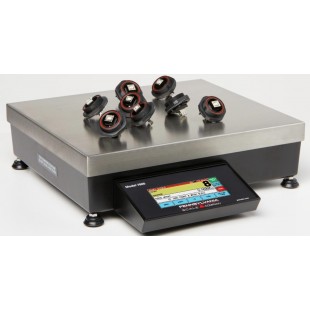 Penn Scale 7600 - HR 12 Inch Touch Screen High Resolution Scale 200 lb Capacity Penn Scale 7600 - HR 12 Inch Touch Screen High Resolution Scale 200 lb Capacity