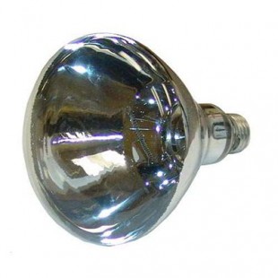 Nemco 66118 250 Watt Clear Shatter Resistant Heat Lamp Bulb Case of 12