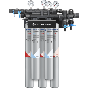 Everpure EV927842 21 Inch Water Filtration System with QC7I DIO Manifold