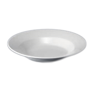 Churchill China WH MD101 Plate 10