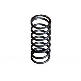 Alfa SM06 SK6 Spray Valve Spring for Schermer Nozzle Stainless Steel