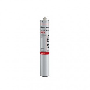 Everpure EV433931 3/8 Inch BSP Flow Meter 29 to 116 PSI Operates Water Filtration